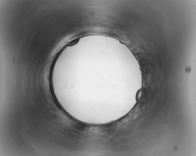 X0000103400341200810031229