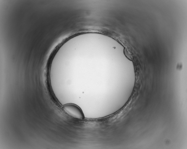 X0000103400342200810031229