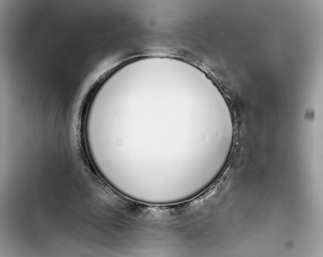 X0000103400343200810031229