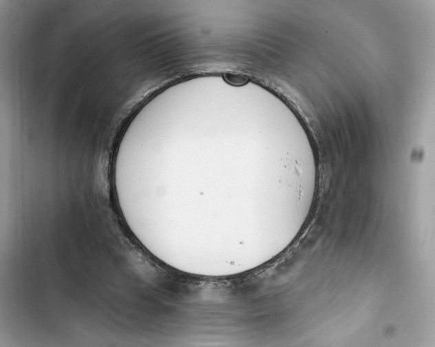 X0000103400345200810031229