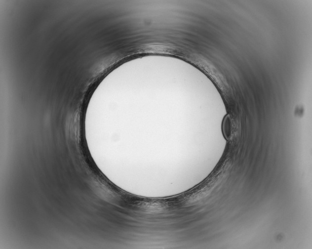 X0000103400349200810031229