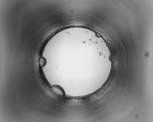 X0000103400350200810031229