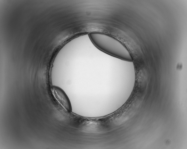 X0000103400352200810031229