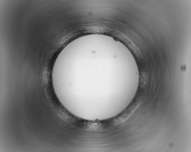 X0000103400355200810031229