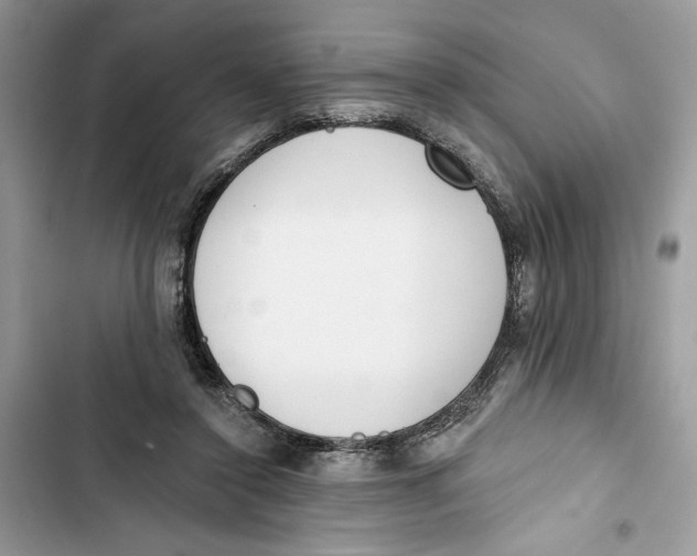 X0000103400356200810031229