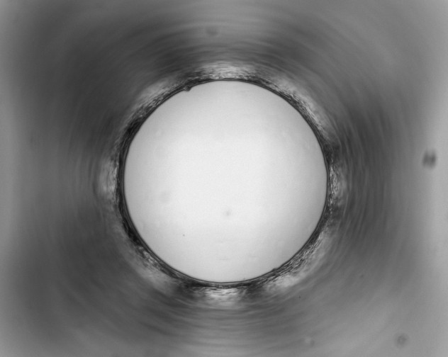 X0000103400357200810031229