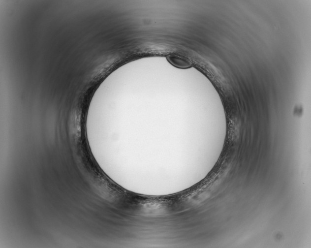 X0000103400358200810031229