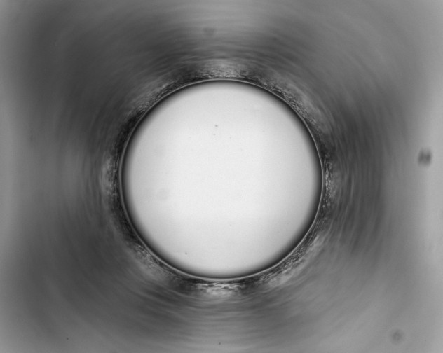 X0000103400359200810031229