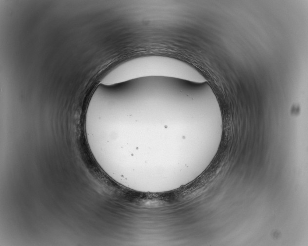 X0000103400360200810031229