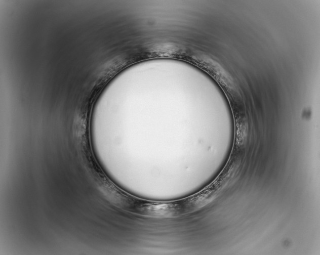 X0000103400365200810031229