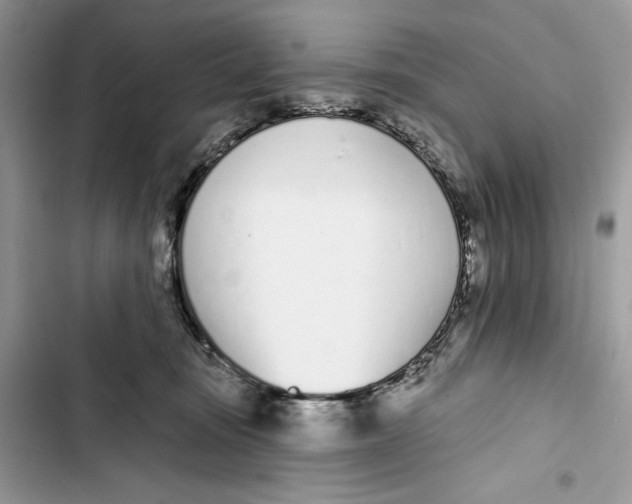 X0000103400371200810031229