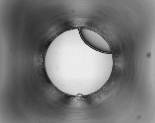 X0000103400372200810031229