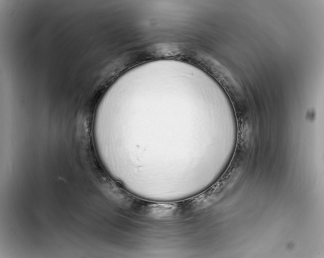 X0000103400373200810031229