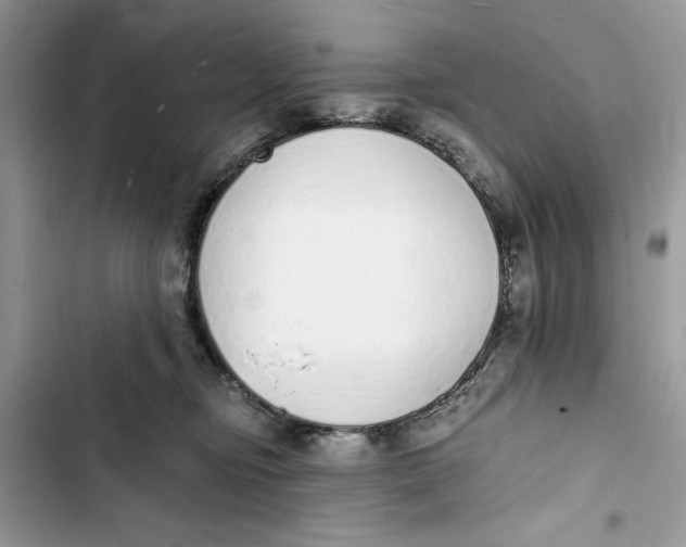 X0000103400374200810031229