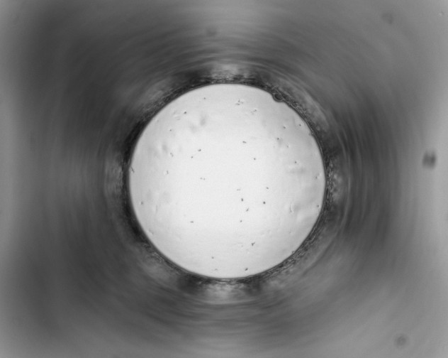 X0000103400375200810031229