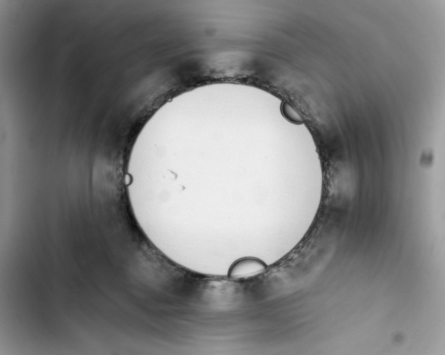 X0000103400376200810031229