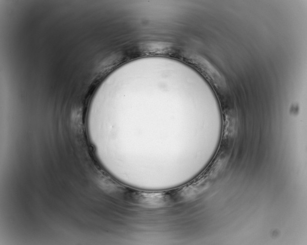 X0000103400377200810031230