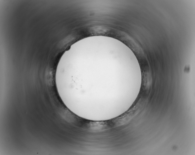 X0000103400378200810031230