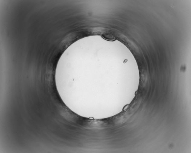 X0000103400379200810031230