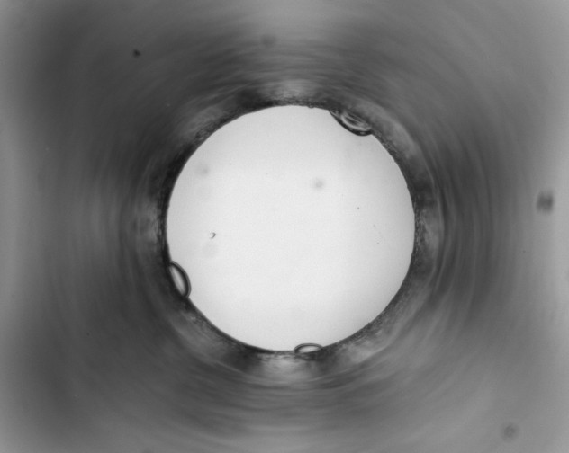 X0000103400380200810031230