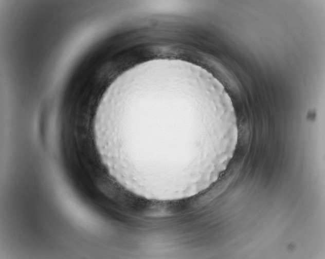 X0000103400381200810031230