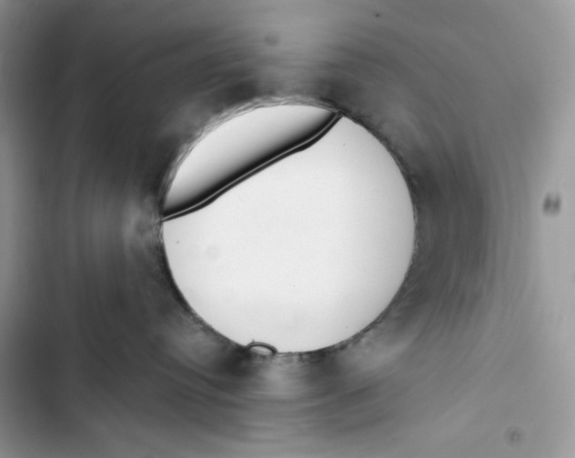 X0000103400384200810031230