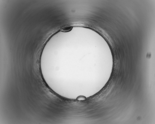 X0000103400385200810031229