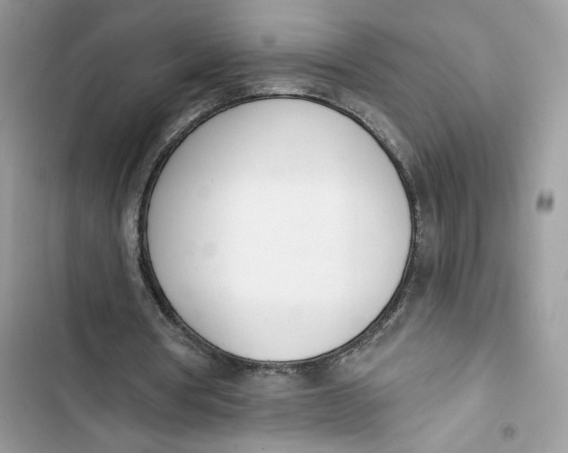 X0000103400386200810031229