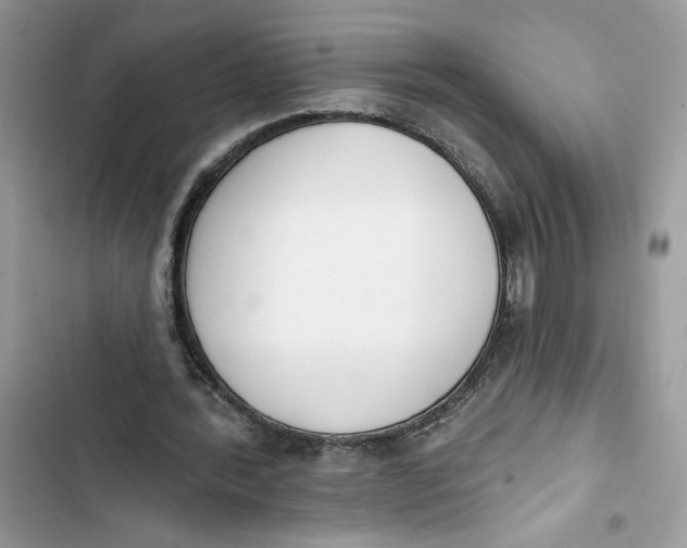 X0000103400388200810031229