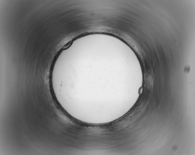 X0000103400389200810031229