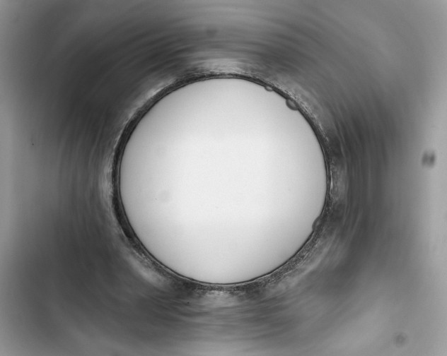 X0000103400390200810031229