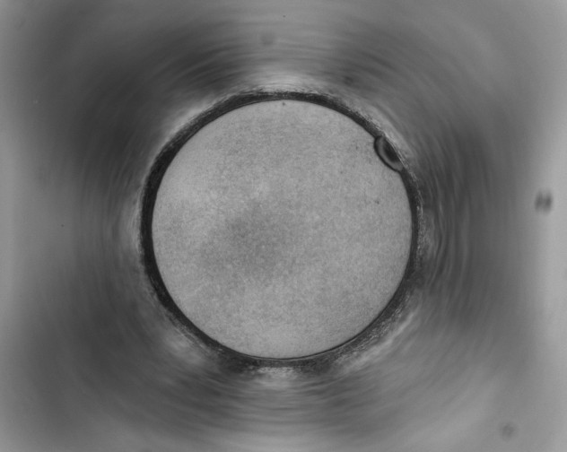 X0000103400391200810031229