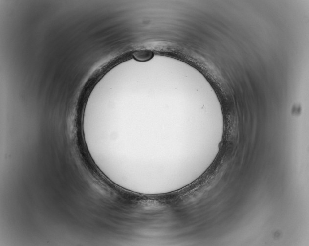 X0000103400392200810031229