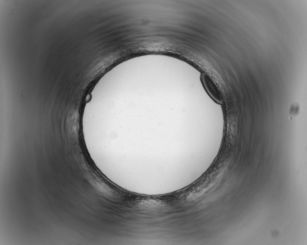 X0000103400397200810031229