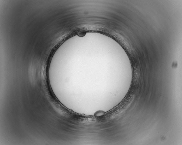 X0000103400398200810031229