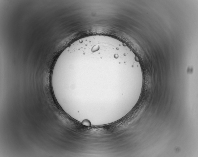 X0000103400401200810031229