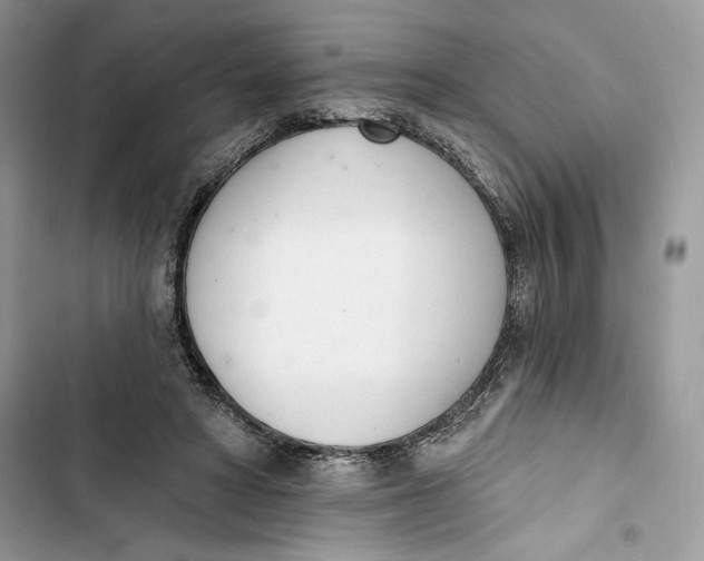 X0000103400402200810031229