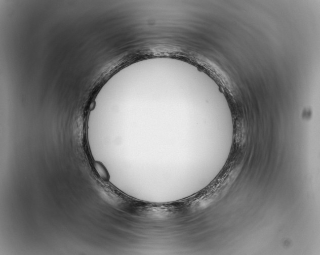 X0000103400405200810031229