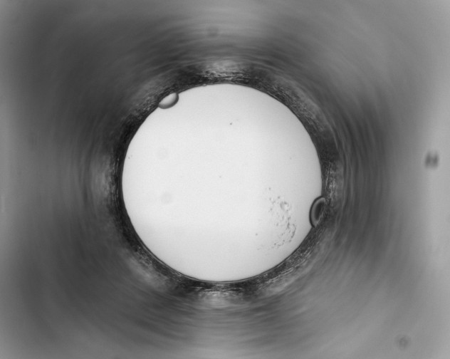 X0000103400408200810031229