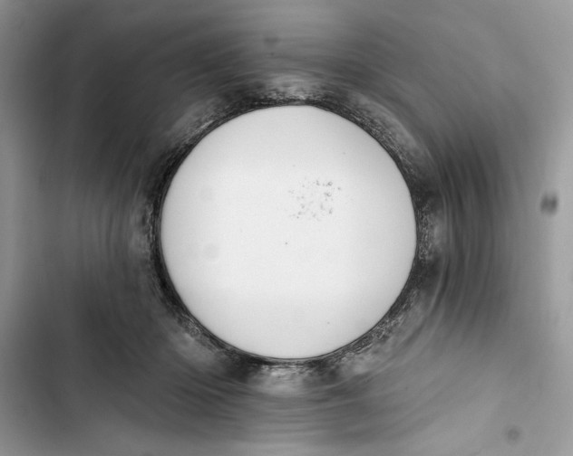 X0000103400414200810031229