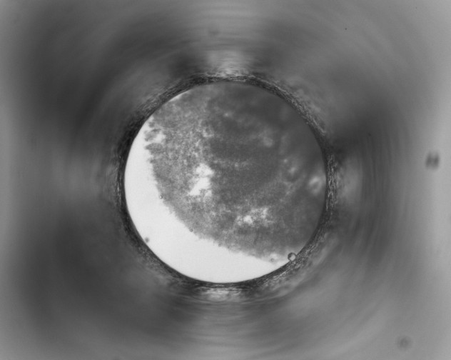 X0000103400415200810031229