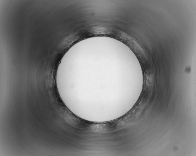 X0000103400422200810031228