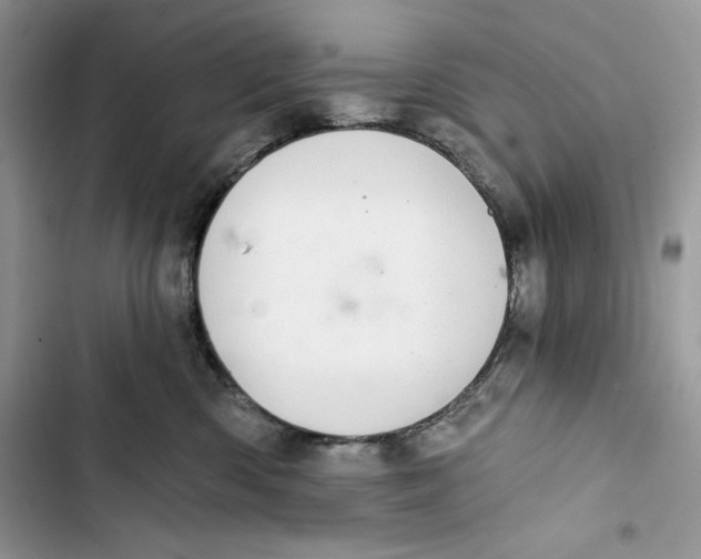 X0000103400426200810031228