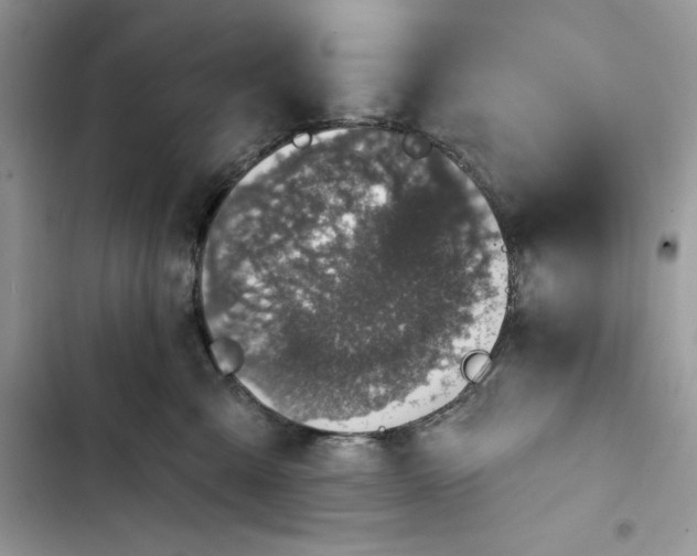 X0000103400427200810031228