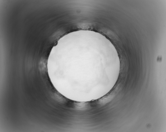 X0000103400432200810031228