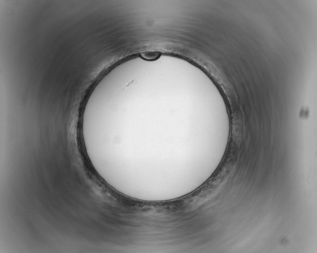 X0000103400434200810031228