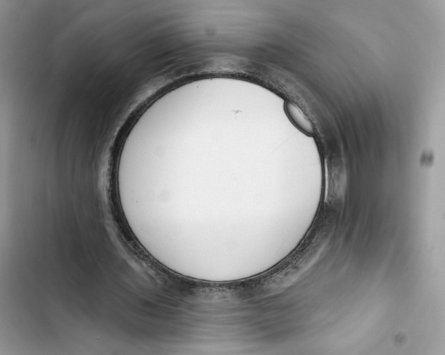 X0000103400435200810031228