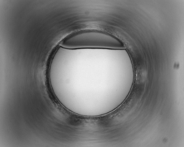 X0000103400436200810031228