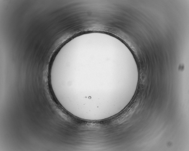 X0000103400437200810031228