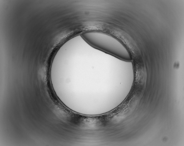 X0000103400444200810031228